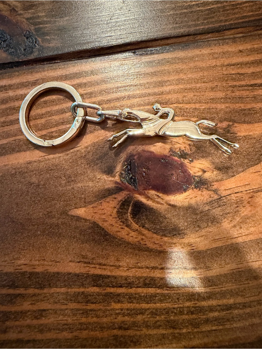LomgChamp Cavalier Keyring